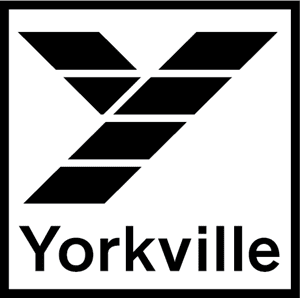 Yorkville YX10B-FLY